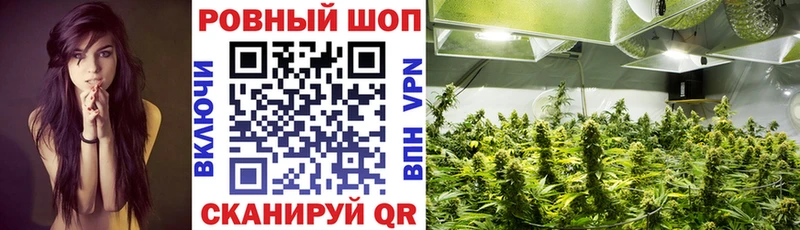 Какие есть наркотики Киреевск A PVP  КОКАИН  ГАШИШ  Мефедрон  Каннабис 