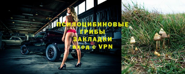 трава Аркадак