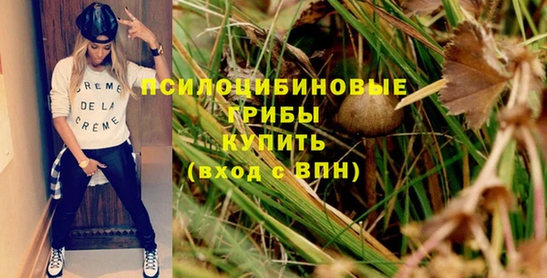 трава Аркадак