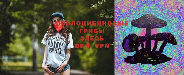 шишки Армянск