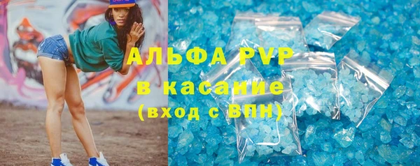 трава Аркадак
