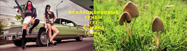 шишки Армянск