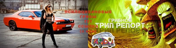 трава Аркадак