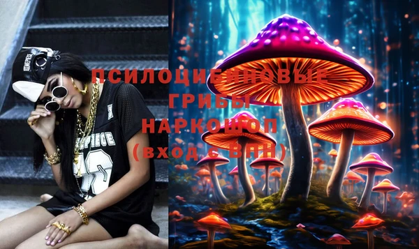 шишки Армянск