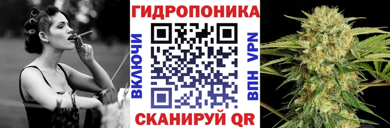 KRAKEN как зайти  что такое   Киреевск  Шишки марихуана семена 